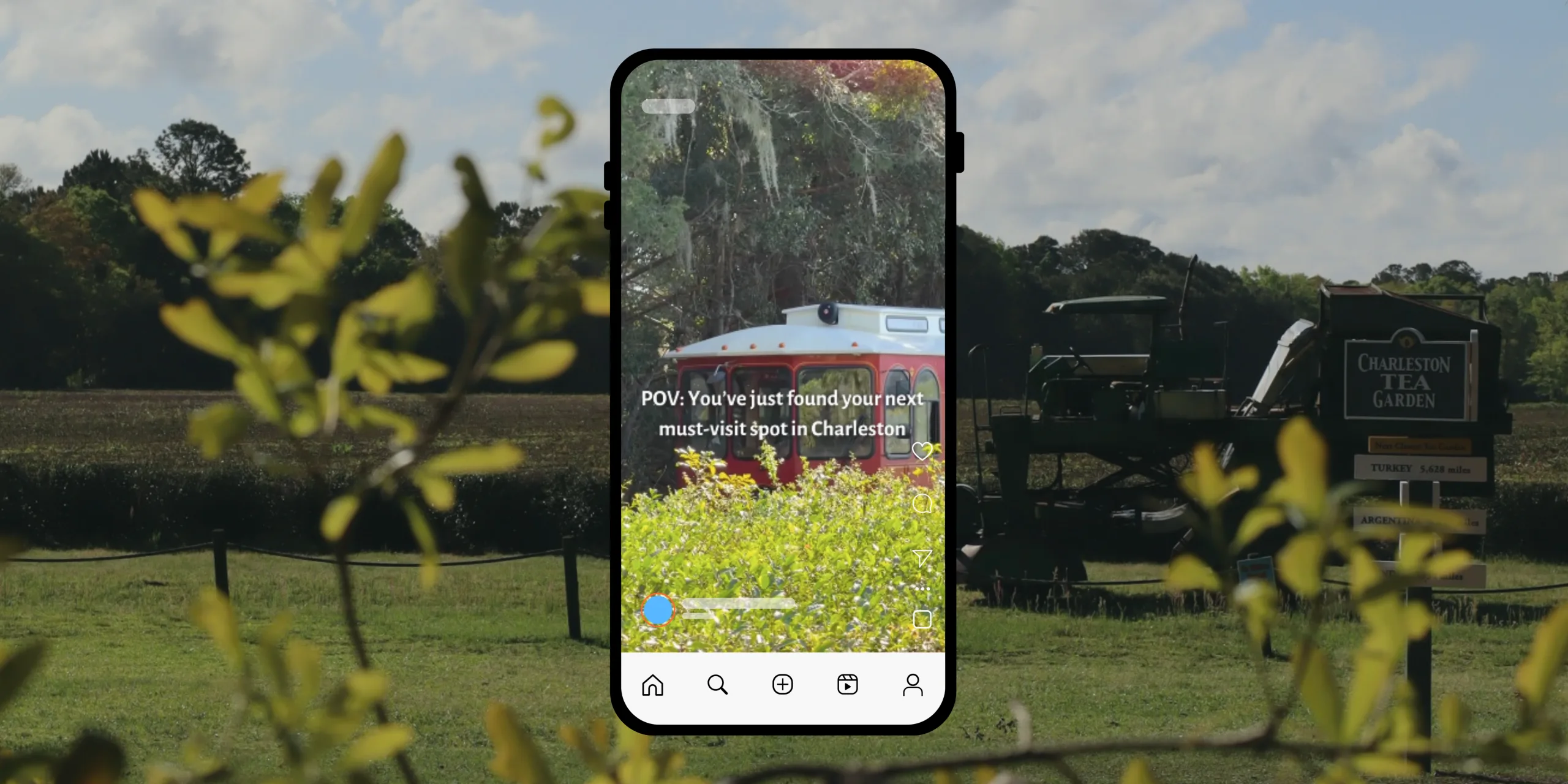 Charleston Tea Garden social media