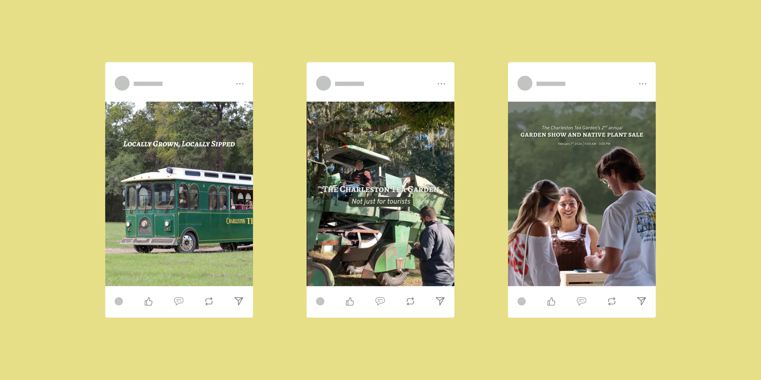 Example of a social media marketing funnel with three Instagram-style posts showcasing Charleston Tea Garden experiences, promotions, and events.